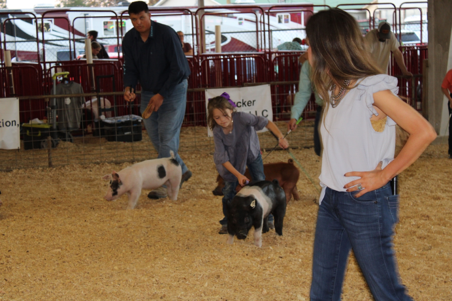 Livestock Shows 2023