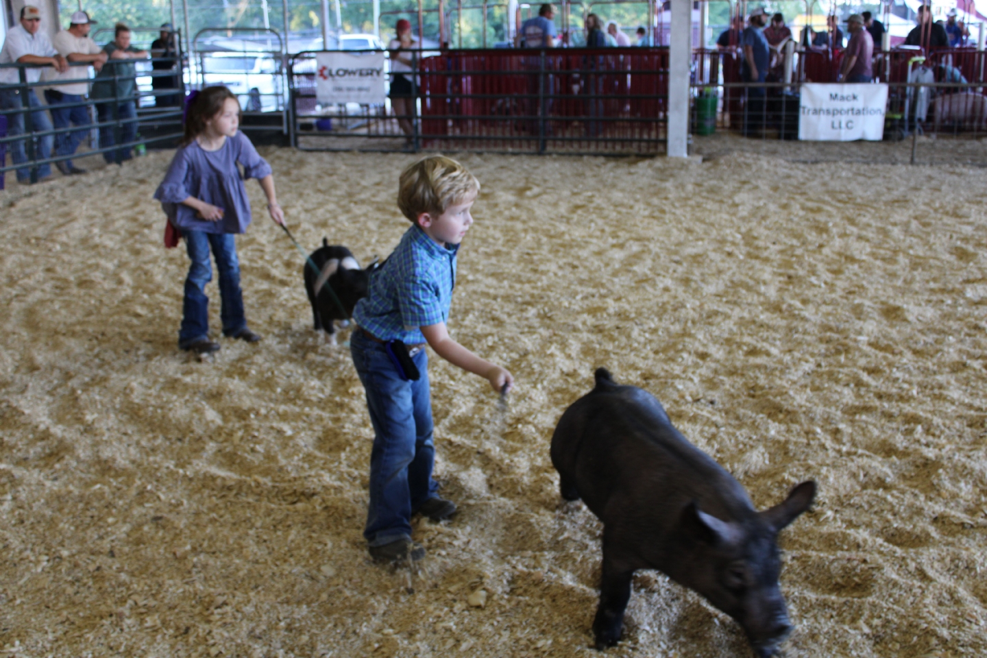 Livestock Shows 2023