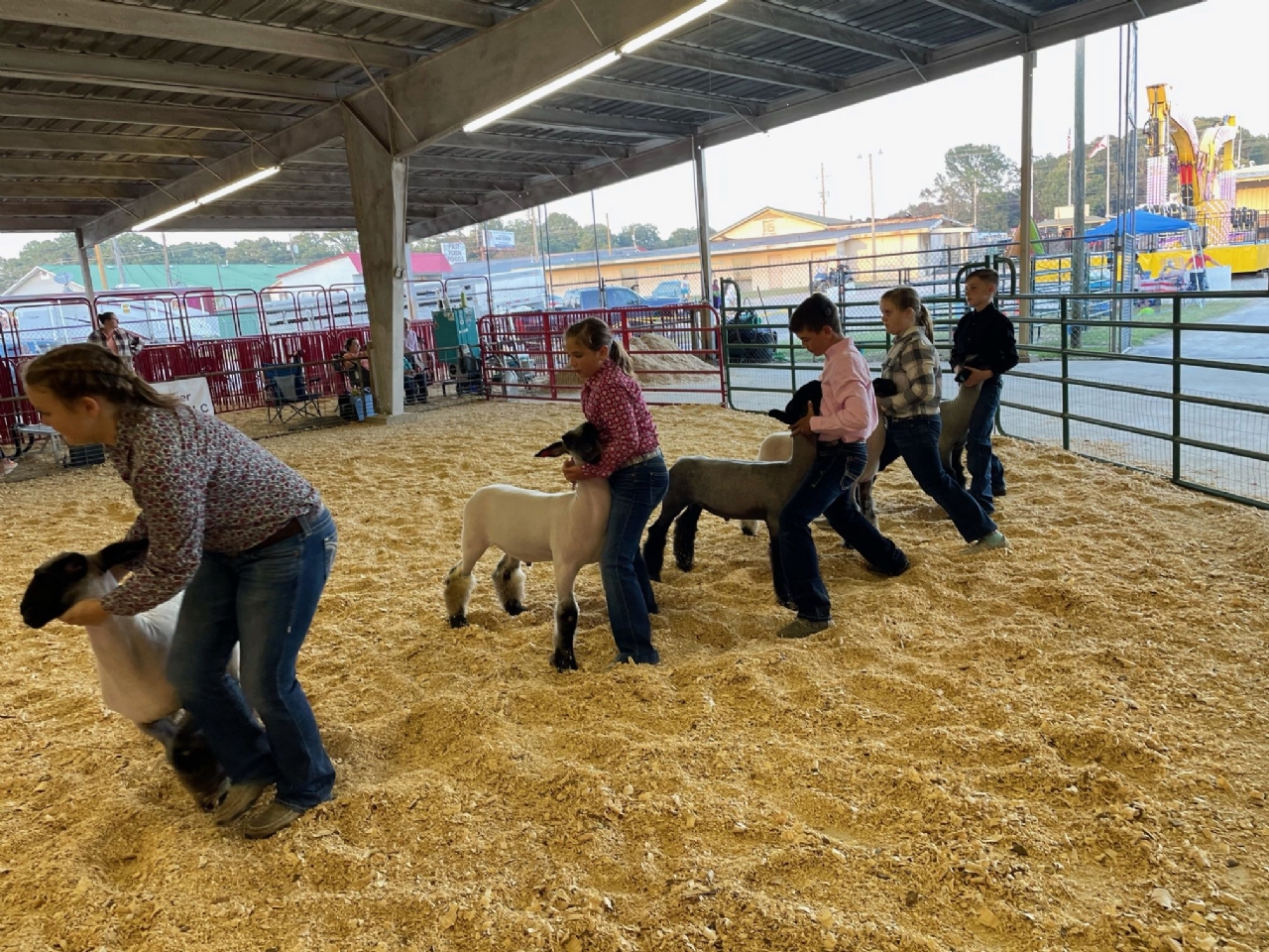 Livestock Shows 2023