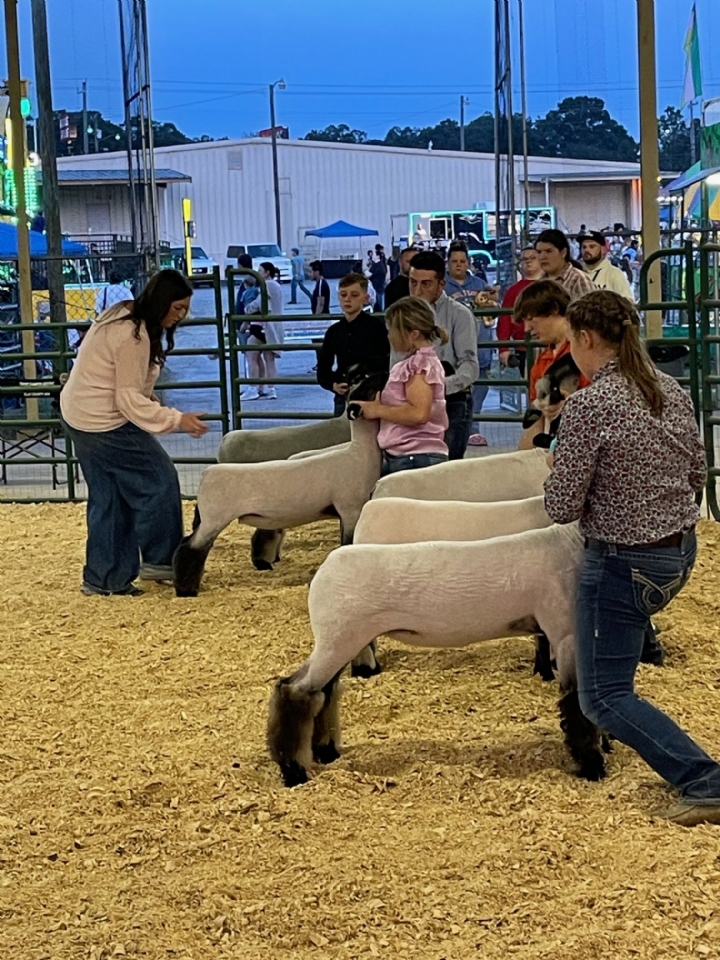 Livestock Shows 2023