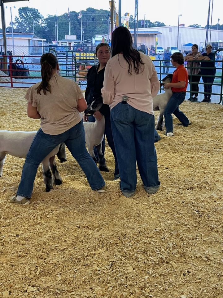 Livestock Shows 2023