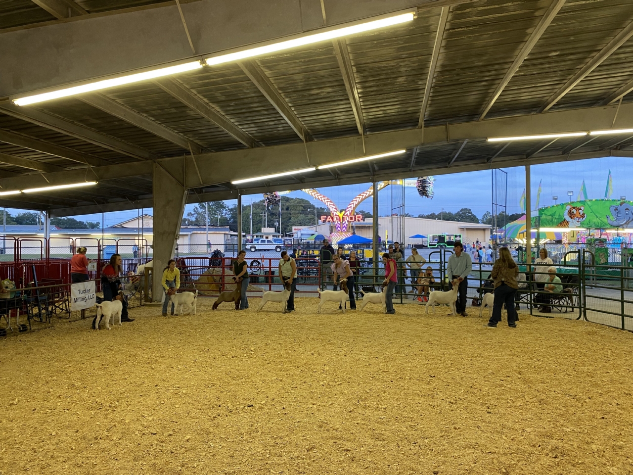 Livestock Shows 2023