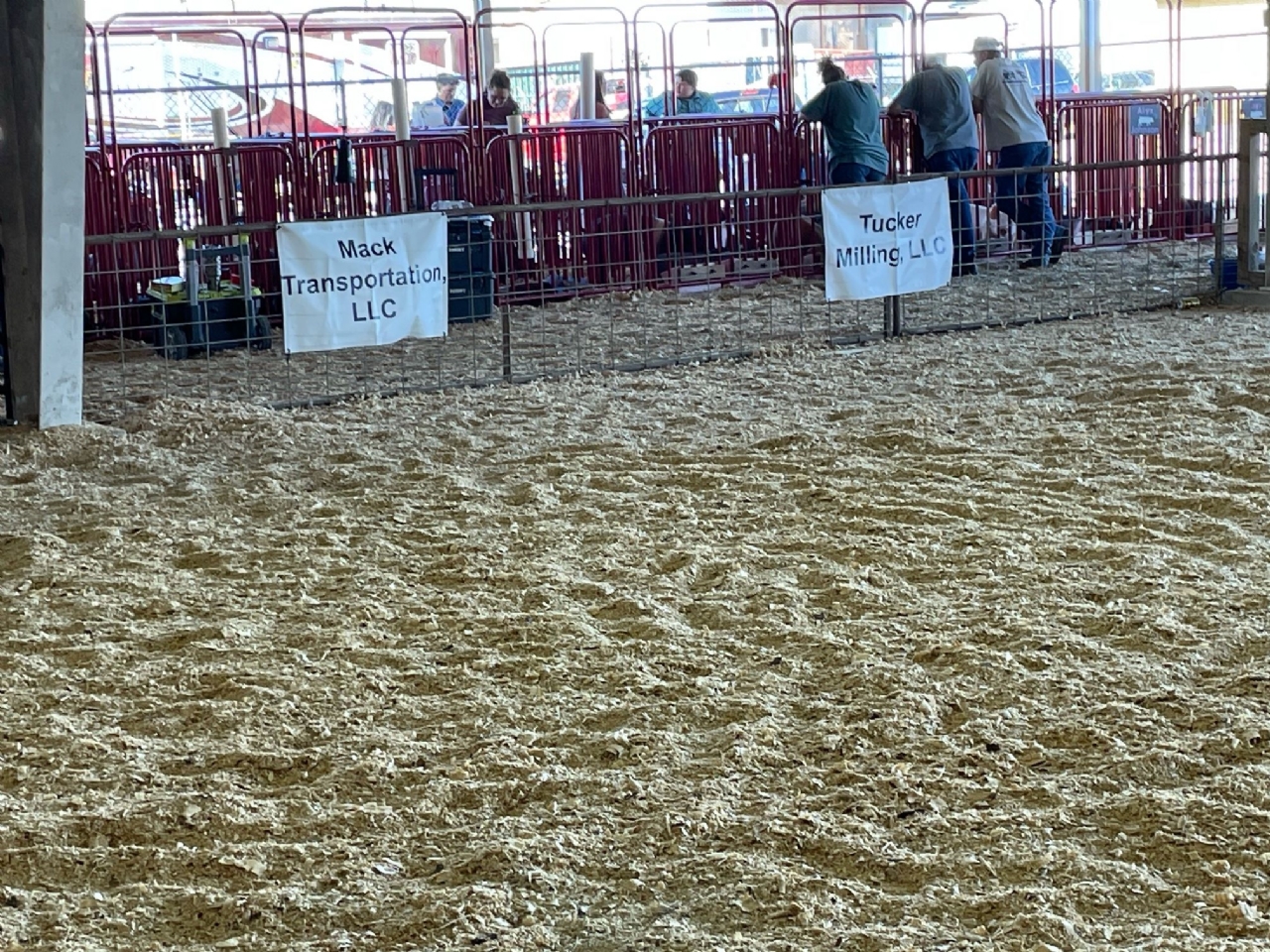 Livestock Shows 2023