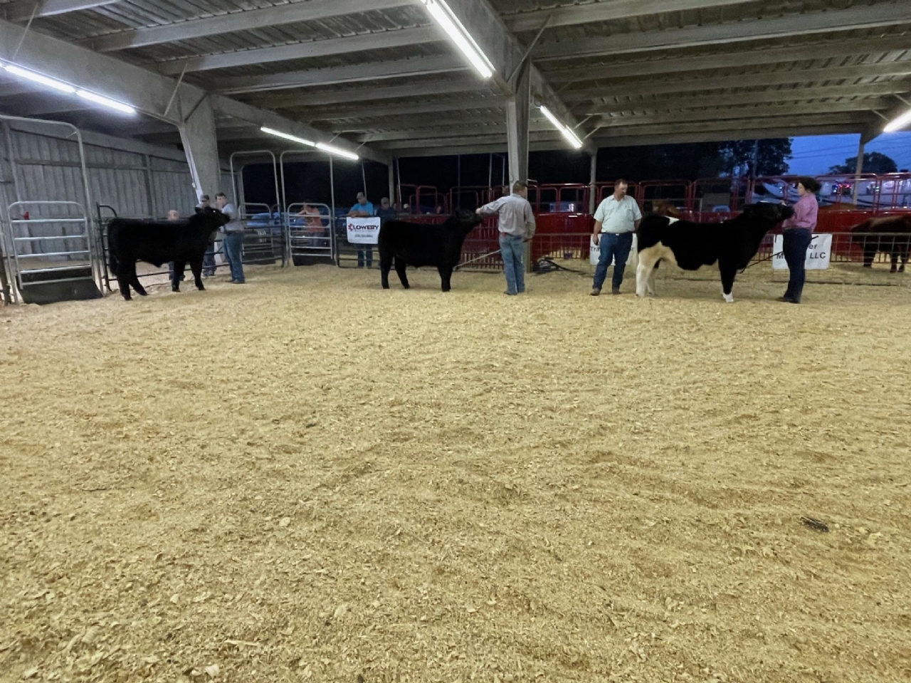 Livestock Shows 2023