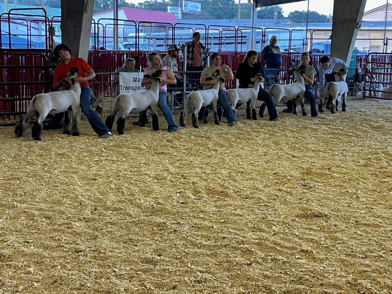 Livestock Shows 2023