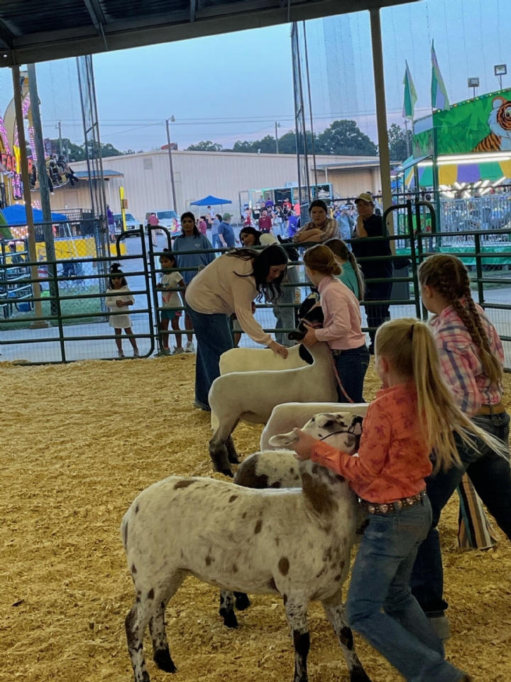 Livestock Shows 2023
