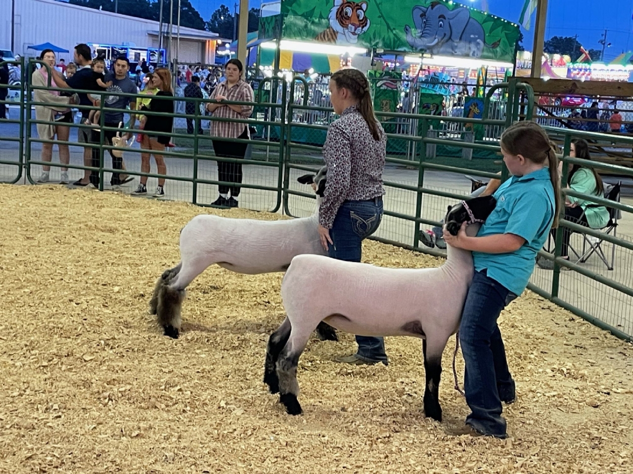 Livestock Shows 2023